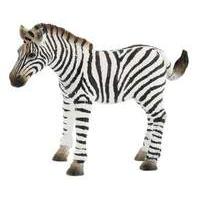 zebra foal wwf