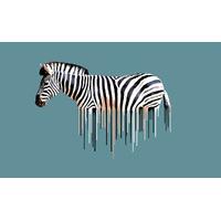 Zebra By Carl Moore