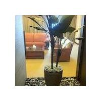 Zhuhai Sunshine Airport Hotel