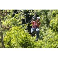 zipline tubing and atv safari adventure from montego bay