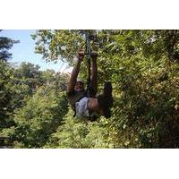 Zipline Adventure from Montego Bay