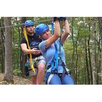 Zip Line Canopy Tour in St Louis