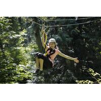 Zipline Canopy Tour with Transportation from Seattle