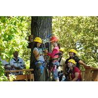 Ziplining Adventure in Sonoma