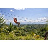 Zipline Adventure in El Limón