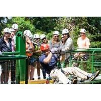 Ziplining, Tarzan Swing, Rapelling and Swinging Bridges Circuit in Arenal
