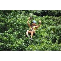 Zipline at Pura Aventura