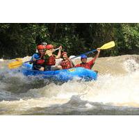 ziplining and whitewater rafting combo tour