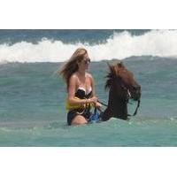 Ziplining, Horseback Riding and Swimming Combo Tour from Runaway Bay