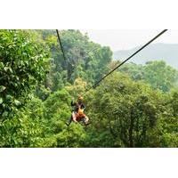 Zipline and Abseiling Adventure from Chiang Mai