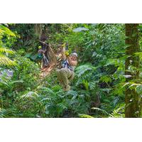 Zipline Adventure in Dangriga