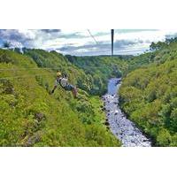 Zipline Through Paradise: Side By Side Dual Track Zipline Course