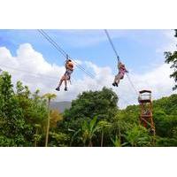 Zipline Canopy and El Yunque Rainforest Hiking Combo Tour