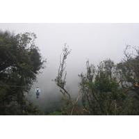Zipline Hanging Bridges and Nature Exhibits Combo Tour in Monteverde Cloud Forest