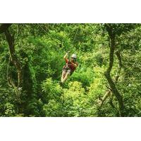 Zipline at Wild Ranch Adventure Park and Kayak Tour on the Chavon River from Santo Domingo