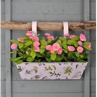 Zinc Balcony Hanging Planter with Herb Print by Fallen Fruits