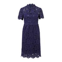 zibi london blue lace cap sleeve dress