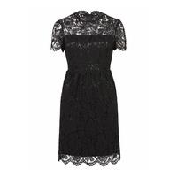 Zibi London Black Cap Sleeve Lace Dress