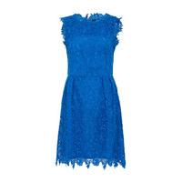 zibi london sleeveless lace dress in blue