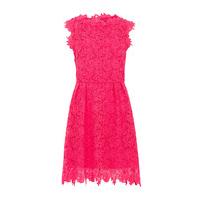 zibi london sleeveless lace dress in pink