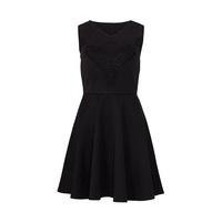 Zibi London Lace Halterneck Dress in Black