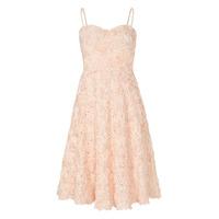 Zibi London Rose Applique Strapless Prom Dress