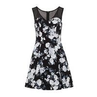 zibi london mesh trim floral print dress