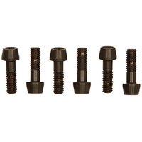 Zipp Bolt Kit For Service Course Sl Stem (ti Bolts) Beyond Black, 