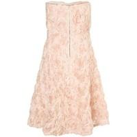 Zibi London - Rose Applique Bandeau Midi Dress, Size 8 women\'s Dress in pink
