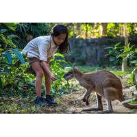 Zookeeper for a Day at the Bali Zoo