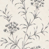 zoffany wallpapers agapanthus charcoal zpaw04003