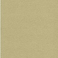 Zoffany Wallpapers Raku Gold, ZPEW01003