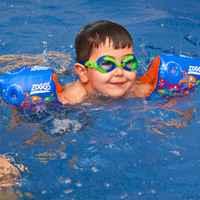 Zoggs Baby Swimming Armbands Blue Shark