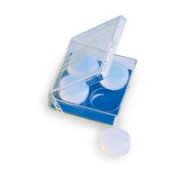 zoggs clear silicone ear plugs