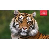 ZSL Whipsnade Zoo Entry + Local Hotel Stay & Breakfast